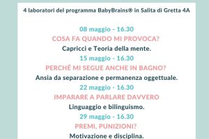 Babybrains