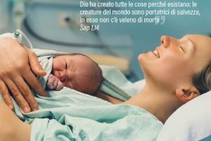 MpV per Muggia - Copia1024_1